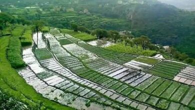 FB IMG 1756114511301