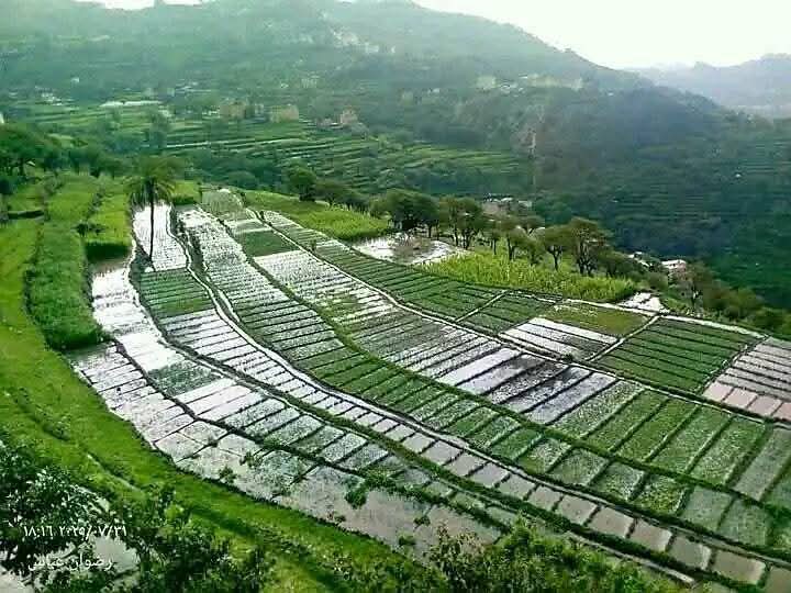 FB IMG 1756114511301