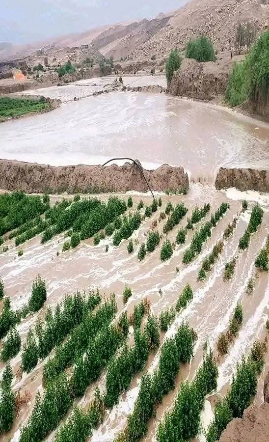 الأرصاد يتوقع مزيداً من الأمطار الرعدية ويحذر من الرياح الهابطة والعواصف وتساقط البَرَد 1 FB IMG 1756396409899