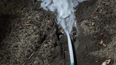 FB IMG 1757098626872