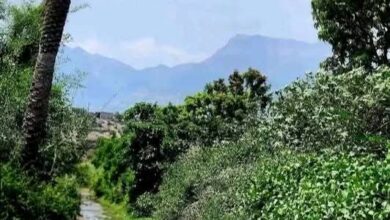 FB IMG 1757982349467