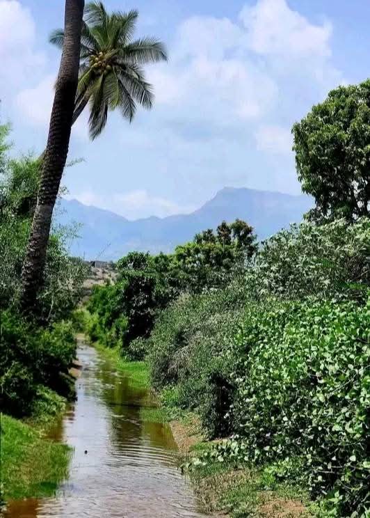 FB IMG 1757982349467