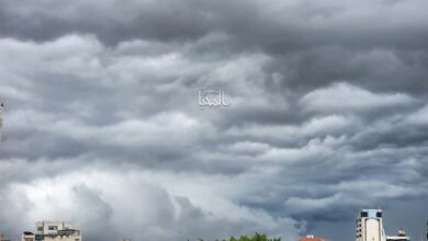 FB IMG 1758039745528