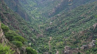 FB IMG 1758111602287