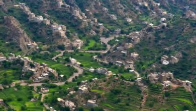 FB IMG 1758228367827