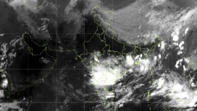 FB IMG 1758539025055