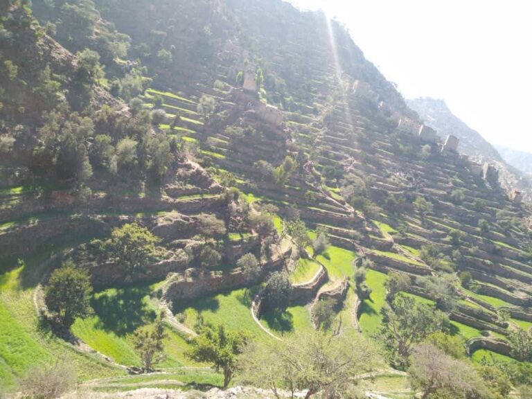 الأرصاد: أمطار رعدية على عدة محافظات وطقس بارد إلى بارد نسبياً على المرتفعات 1 180