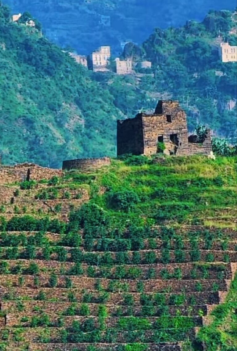 الأرصاد ينبه من الأجواء الباردة على المرتفعات ويتوقع هطول أمطار على بعض المحافظات 1 980