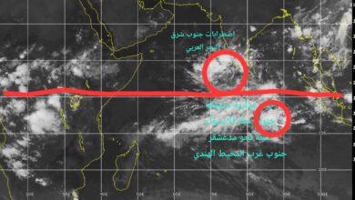 FB IMG 1760493984245