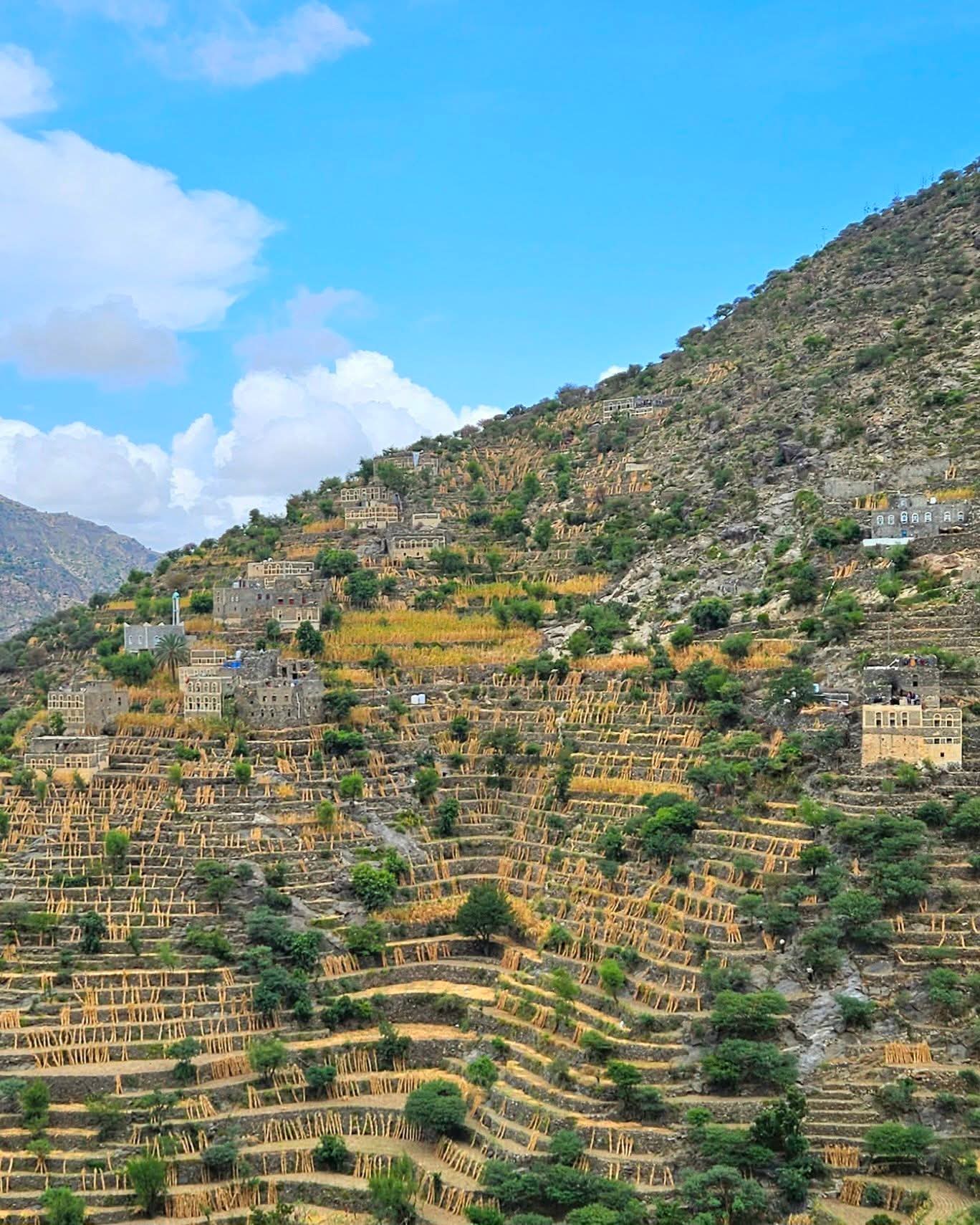 FB IMG 1761844668745