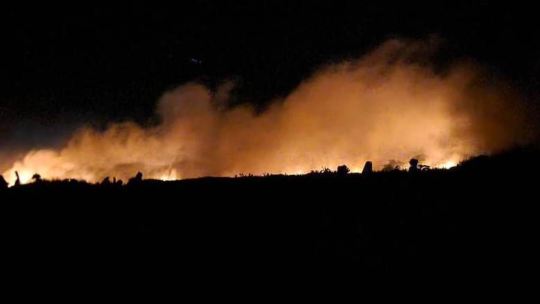 أبين.. حريق يلتهم مزارع موز في الكود 1 000041