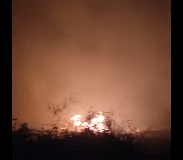 أبين.. حريق يلتهم مزارع موز في الكود 2 00042