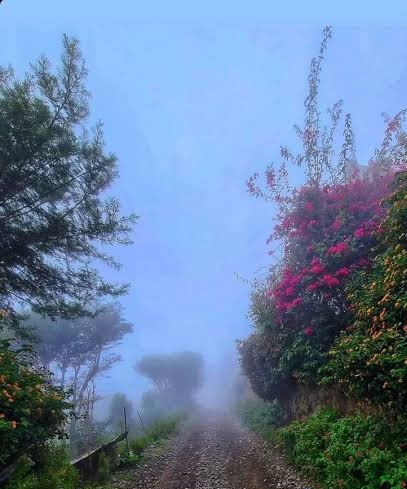 V Jemnu se pričakuje občasno deževje in temperature blizu ledišča to zimo
