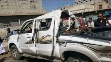 554762490 1446444289947561 4140950717624105712 n