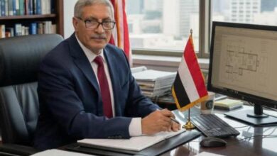 558777635 15257286072788671110 n