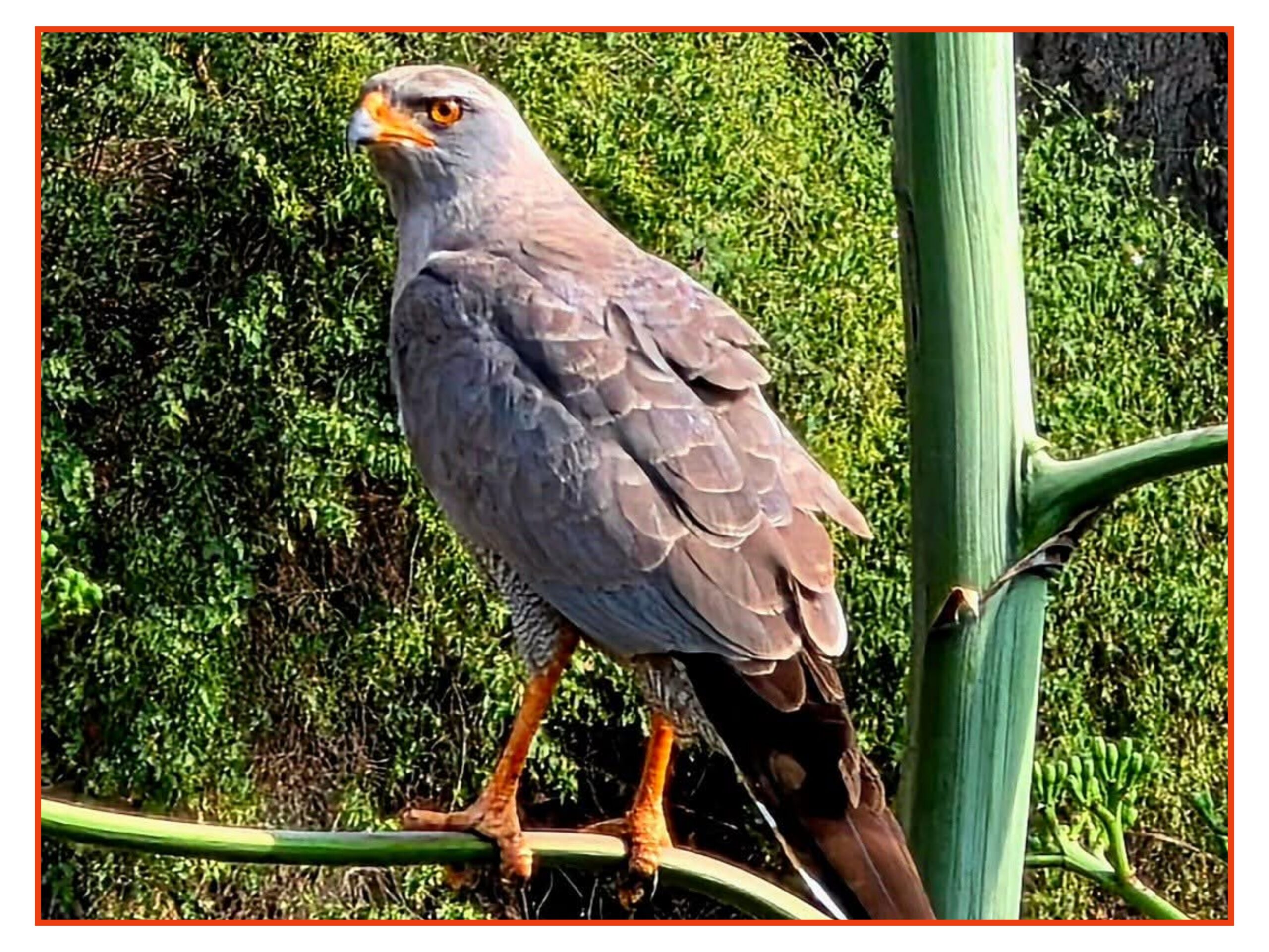 الأرصاد: صقيع متوقع على أجزاء من المرتفعات وأجواء باردة إلى شديدة البرودة على المرتفعات والهضاب 1 8097 scaled