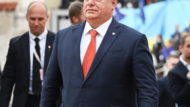 842ec3ad 1289 4275 b553 25184aa 3