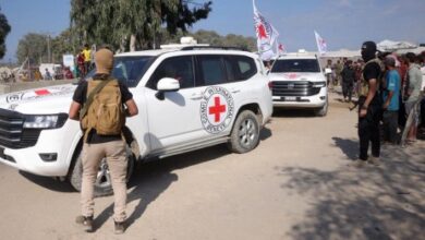 8796964382491227711 n 1