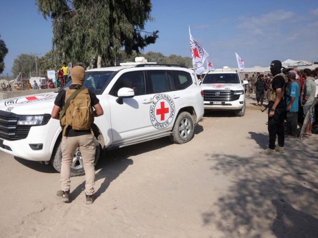 8796964382491227711 n 1