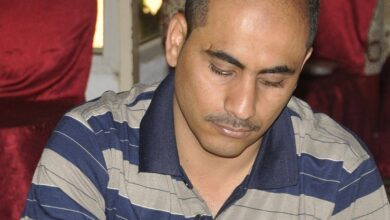 8796964382491227711 n