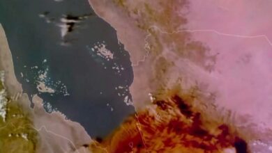 FB IMG 1763927148146