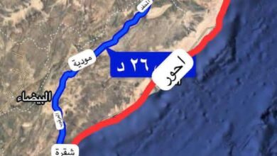 IMG 20251109 141603 902