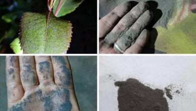 df3d83bf 8117 4de1 876560fab