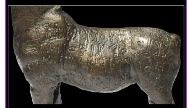 تهريب مئات القطع الأثرية من اليمن خلال شهرين فقط 2 0000001