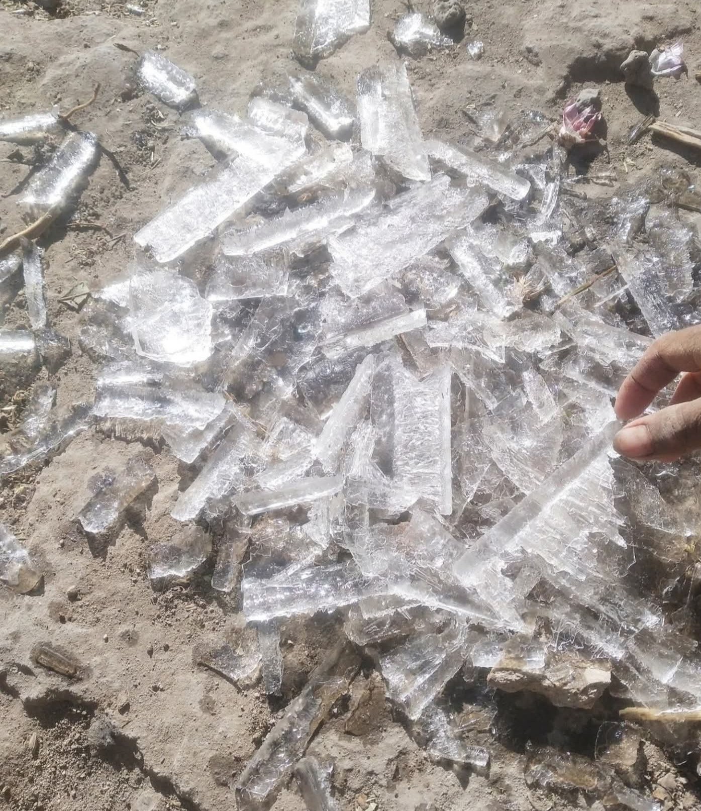 "صور".. صقيع يضرب أجزاء من المرتفعات ويلحق أضرارًا بالمحاصيل الزراعية 1 00001