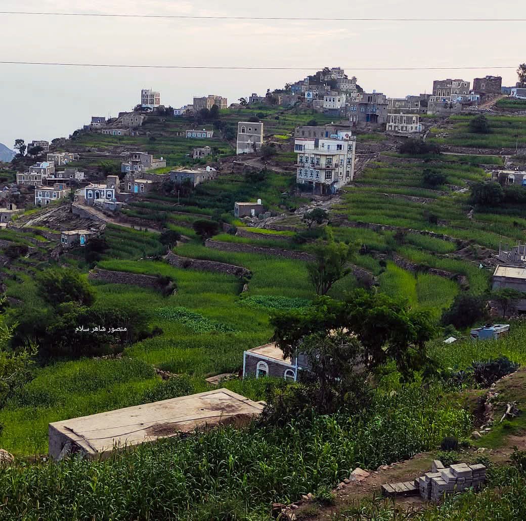 خبير طقس: انخفاض متوقع في درجات الحرارة خلال الساعات القادمة واحتمال حدوث صقيع 1 229