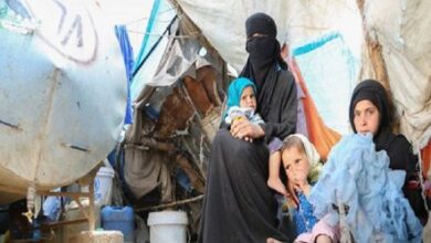 24353536 464645 3242