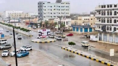 601113794 26044140991838611 6827979559592319223 n 1