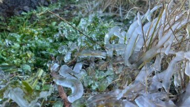 FB IMG 1764659078100