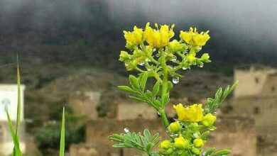 FB IMG 1767128317039