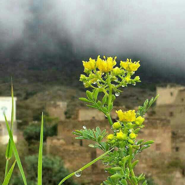 FB IMG 1767128317039