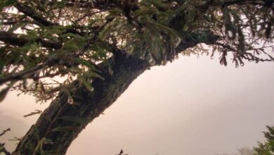 FB IMG 1768220635186