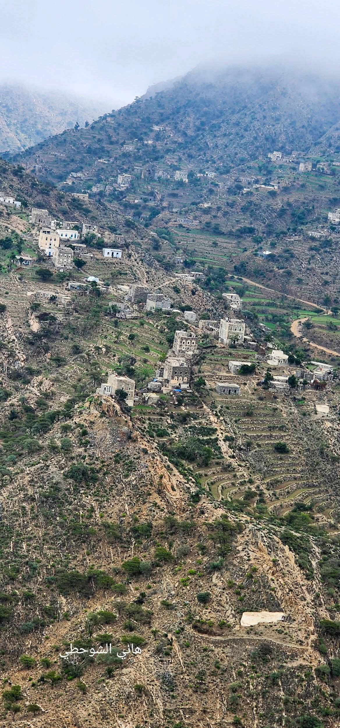 الأرصاد يتوقع تلاشي تدريجي لموجة الغبار وأجواء باردة إلى باردة نسبياً على المرتفعات والصحارى 1 FB IMG 1769087463323