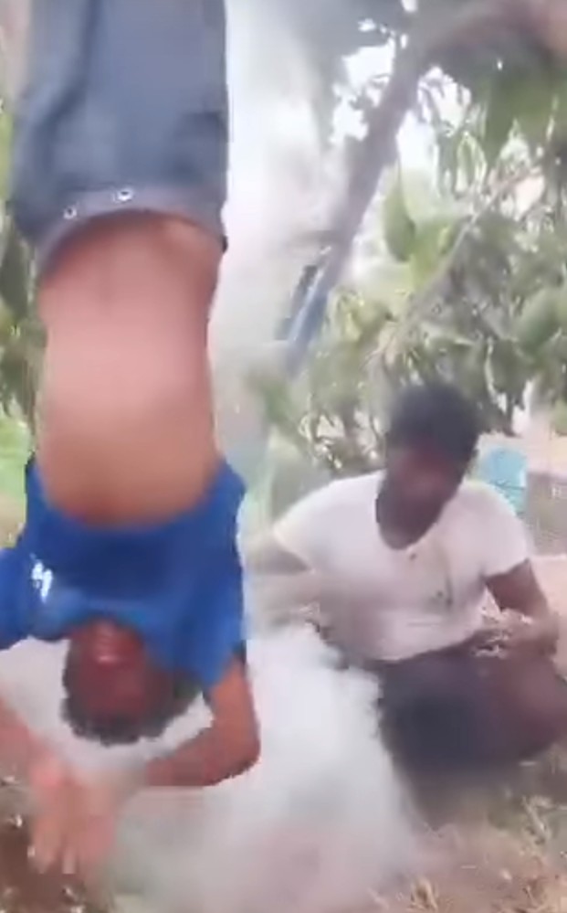 جريمة تهز الحديدة.. تعذيب طفل وتعليقه على شجرة بتهمة سرقة مانجو 1 164221