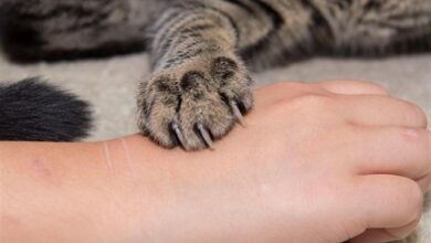 2022 6 6 22 4 22 953