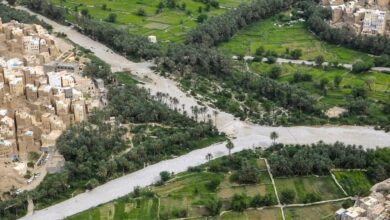 FB IMG 1770462610843