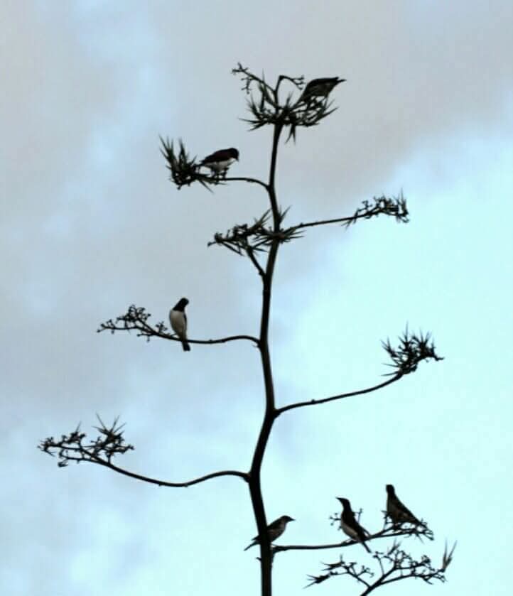 FB IMG 1770465114300