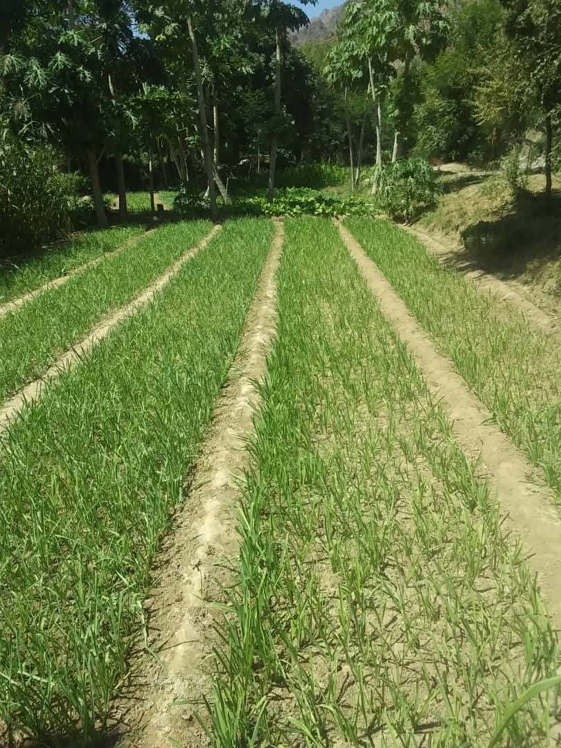 FB IMG 1771520976248