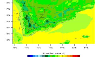 FB IMG 1772455459086