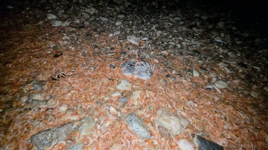 FB IMG 1773161413804