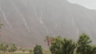 FB IMG 1774360585067