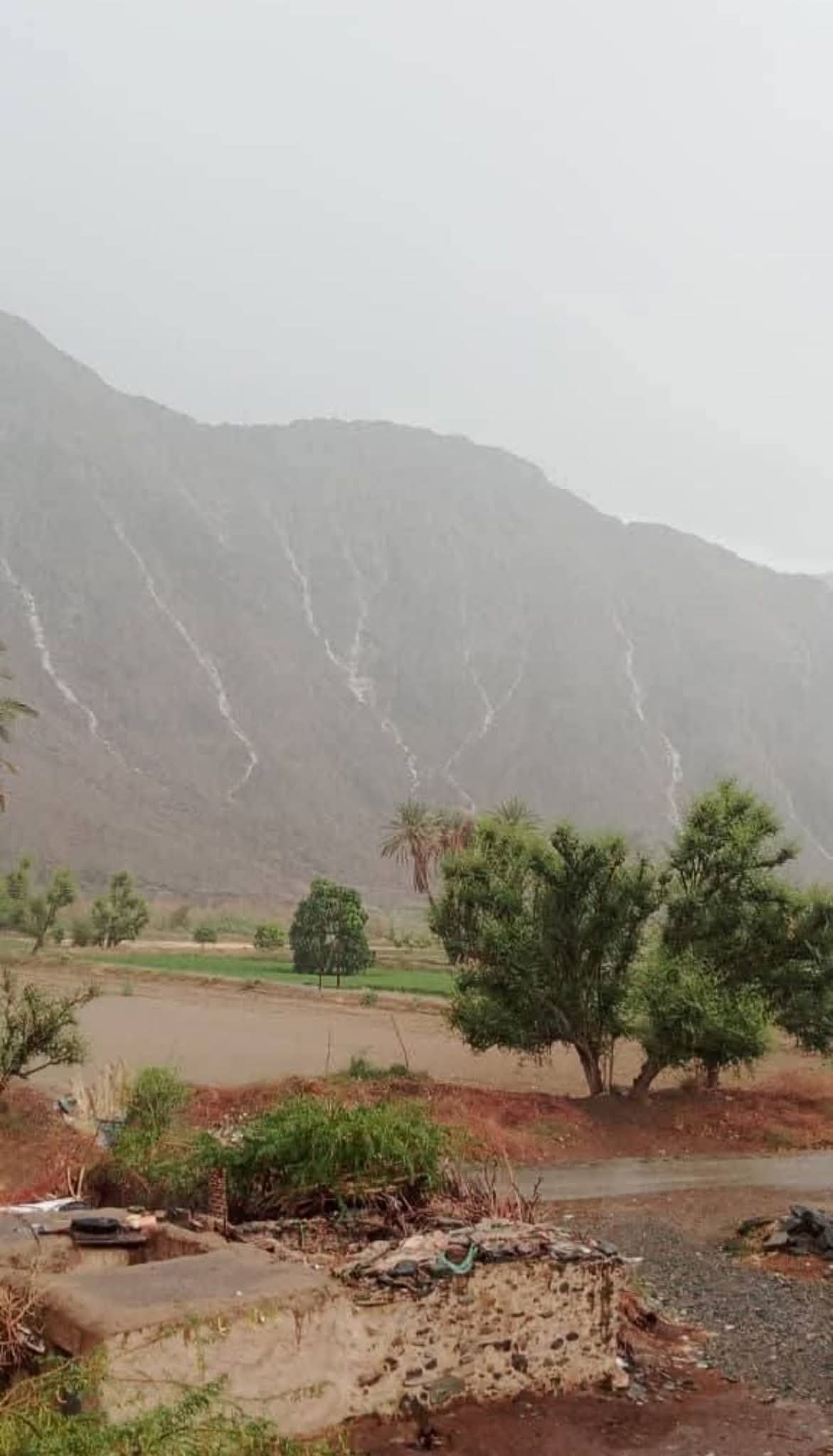 FB IMG 1774360585067