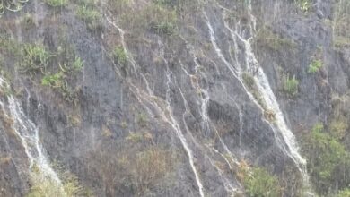 FB IMG 1774910774126