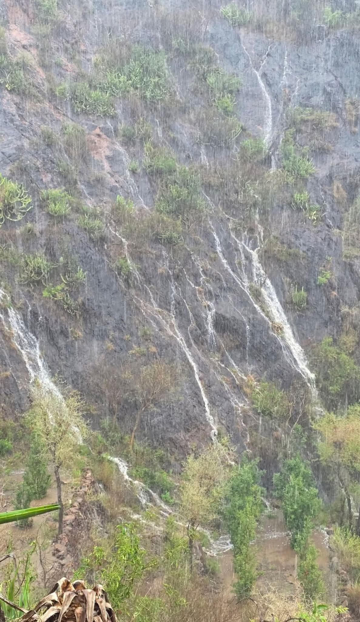 FB IMG 1774910774126