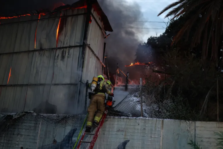 afp 69b460eb454e 1773428971