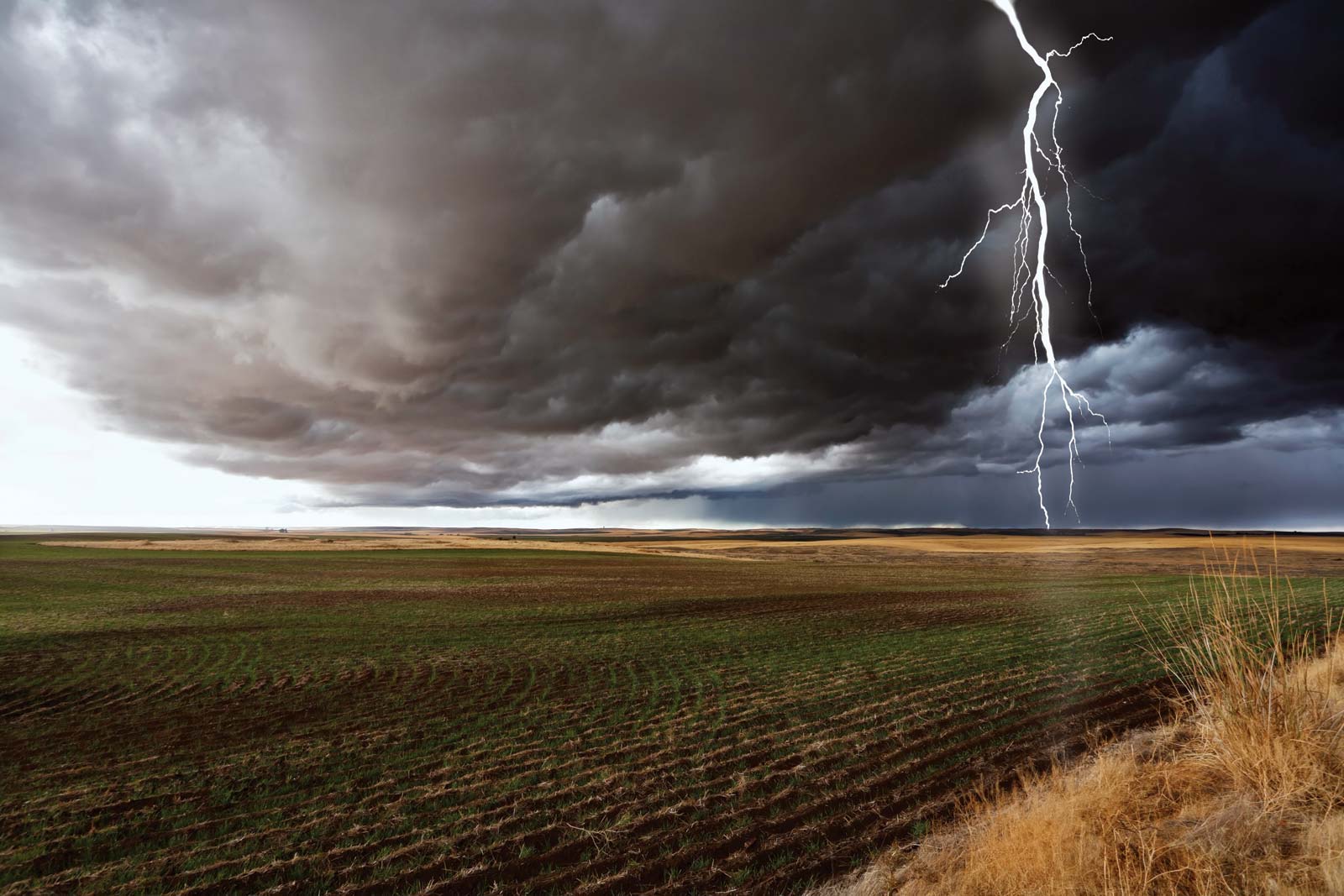lightning discharge field cumulonimbus cloud 0